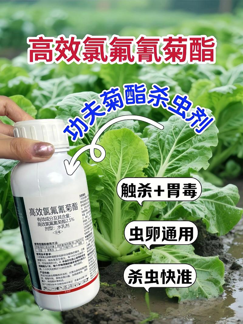 临沧代生中心:农药对供卵代生妈妈的危害